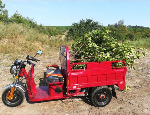 Cargo Muli der Alleskönner