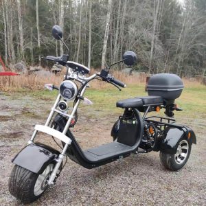 cp3 trike wald edinger Lampertheim